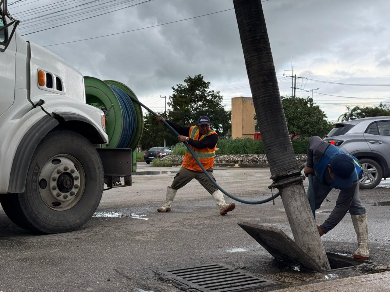 uploads/6/32/01 (2375).Jpeg